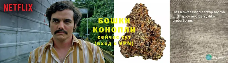 даркнет сайт  Навашино  гидра ссылка  Конопля White Widow 